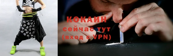 ПСИЛОЦИБИНОВЫЕ ГРИБЫ Абаза