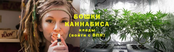 ПСИЛОЦИБИНОВЫЕ ГРИБЫ Абаза
