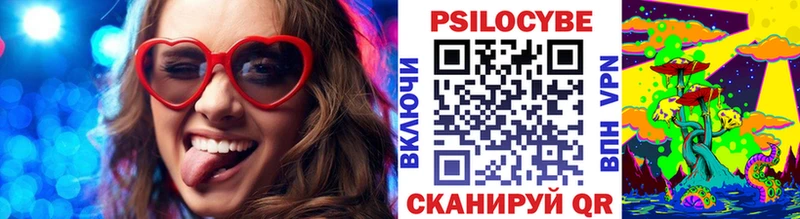 кракен рабочий сайт Ильский Псилоцибиновые грибы Psilocybe